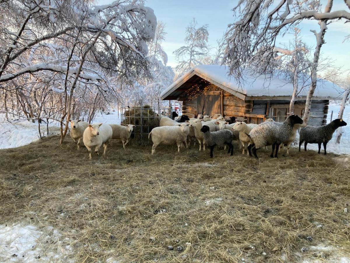 Kuttainen Lodge Karesuando Bagian luar foto